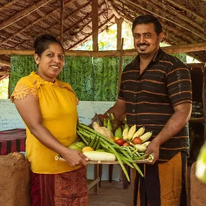 Sigiri Aliya Tree House Guest house Sigiriya
